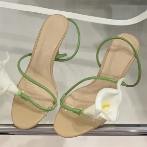 Talons Arum